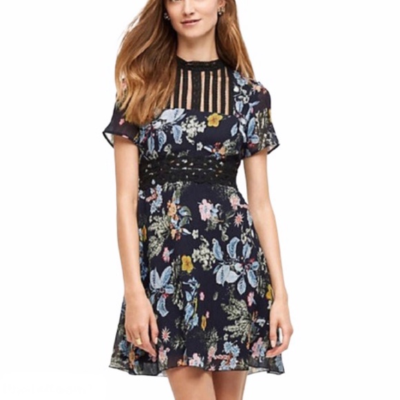 foxiedox Dresses & Skirts - Anthro Foxiedox Farfara Floral Dress